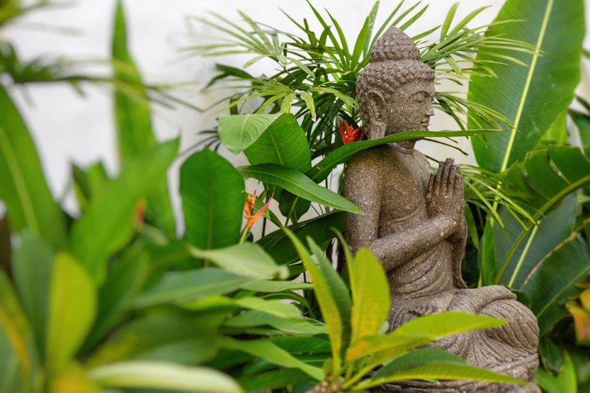 f2d7cf_30607acdf4d54d109e98189c61fe2480~mv2